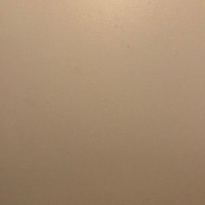 Meet your Posher, Shay